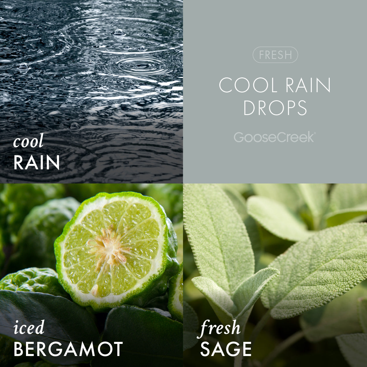Cool-Rain-Drops-Large-3-Wick-Candle-3.jpg