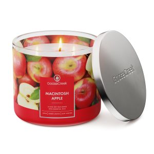 Macintosh Apple 3-Wick Candle